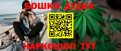 гидропоника Можга