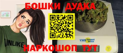 гидропоника Можга