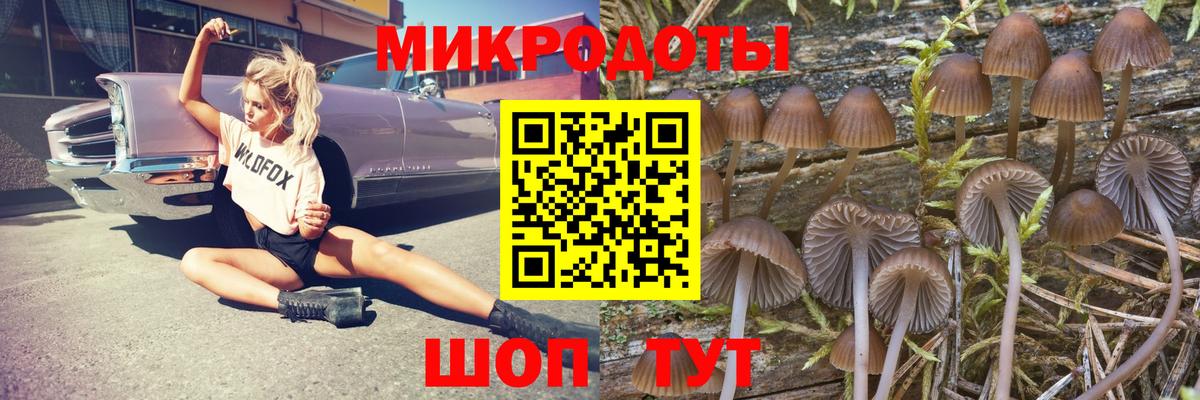 Галлюциногенные грибы мухоморы Гулькевичи