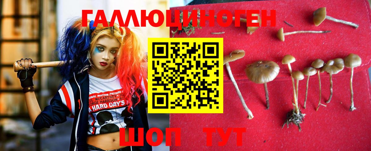 как найти закладки  Вход с VPN  Гулькевичи  Псилоцибиновые грибы MAGIC MUSHROOMS 
